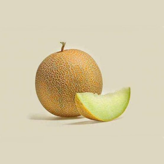 Πεπόνι - LAVIGAL F1