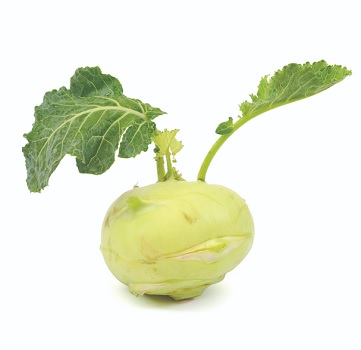 ΓΟΥΛΙ DI VIENNA BIANCO (Άσπρο)