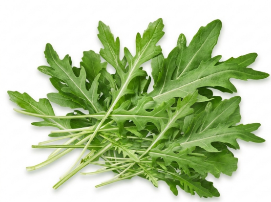 Σπόρος ΡΟΚΑΣ ΑΡΩΜΑΤΙΚΗΣ