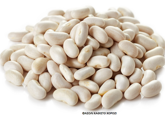 ΦΑΣΟΛΙ ΚΑΘΙΣΤΟ ΧΟΡΟΖΙ (για ξερό) CANNELLINO