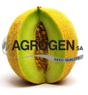 ΠΕΠΟΝΙ SIGAL F1