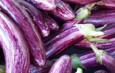 ΜΕΛΙΤΖΑΝΑ Tsakoniki 2.5gr