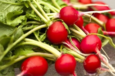 ΡΑΠΑΝΙ Saxa 2 (Μικρό στρογγυλό) 25gr