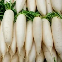 ΡΑΠΑΝΙ Lungo Bianco (Μακρύ άσπρο) 25gr