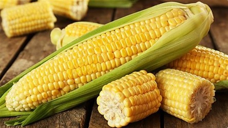 ΚΑΛΑΜΠΟΚΙ ΓΛΥΚΟ Tasty Sweet F1 50 σπόροι