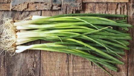 ΚΡΕΜΜΥΔΙ ΧΛΩΡΟ White Lisbon 5gr