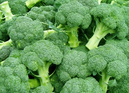 ΜΠΡΟΚΟΛΟ ΠΡΑΣΙΝΟ Calabrese Natalino 5gr