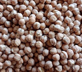 ΡΕΒΥΘΙ Αμοργός