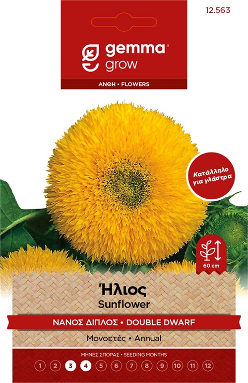 Ήλιος Νάνος Διπλός