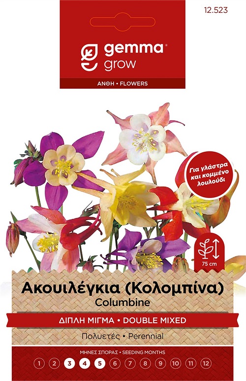 Ακουιλέγκια - Κολομπίνα Διπλή