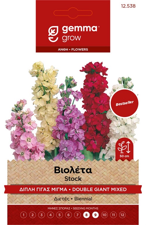 Βιολέτα Διπλή Γίγας