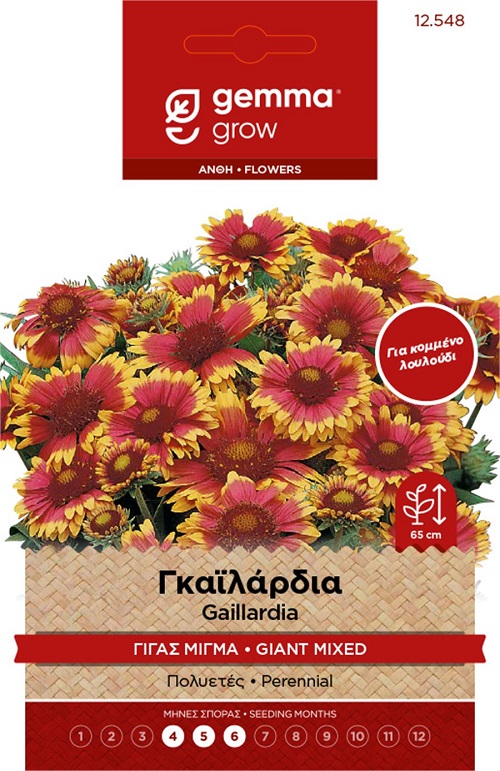 Γκαϊλάρδια Γίγας