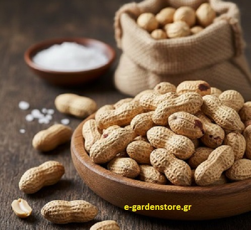 Αραχίδα - Φυστίκι Κελυφοτό