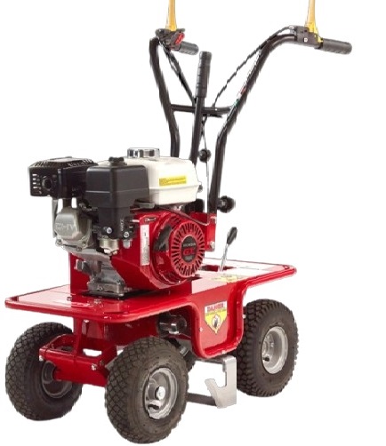 Εξαγωγέας Χλοοτάπητα